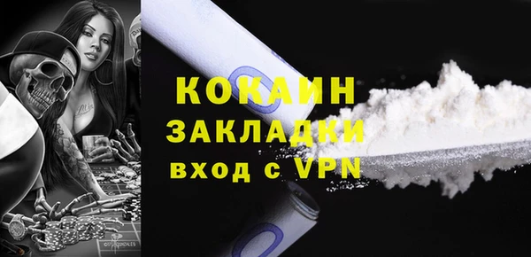 прущие грибы Арсеньев