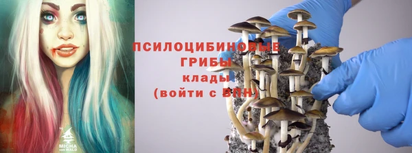 ПСИЛОЦИБИНОВЫЕ ГРИБЫ Армянск
