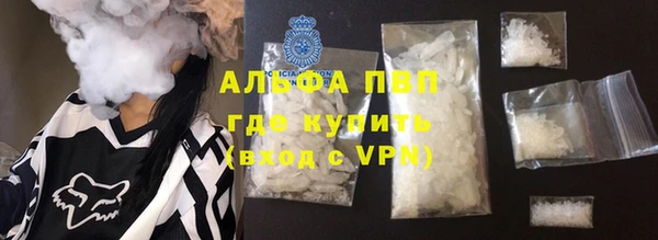 прущие грибы Арсеньев