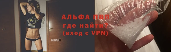прущие грибы Арсеньев