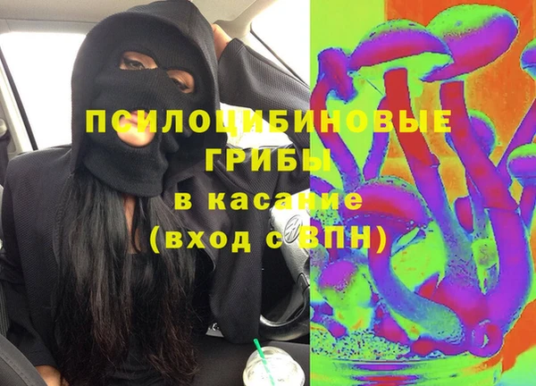прущие грибы Арсеньев