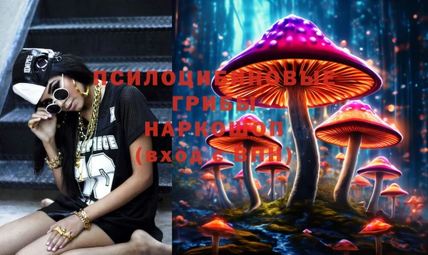 амф Горняк